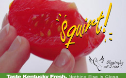 KYProud_Squirt